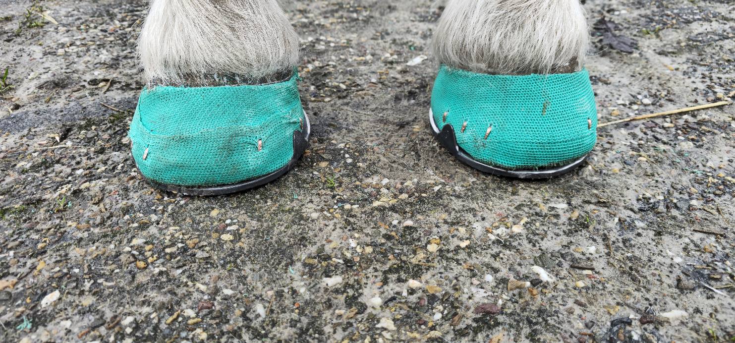 Hufbearbeitung Beispiel 2